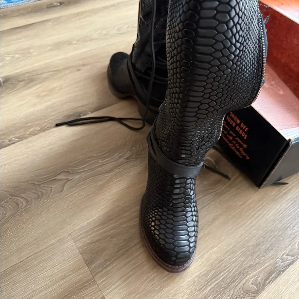 Freebird Coal black Snake - Picture 6 of 9